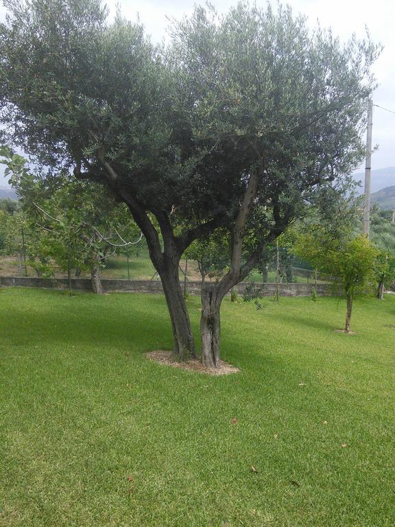 Hotel La Selva Agropoli Exterior foto