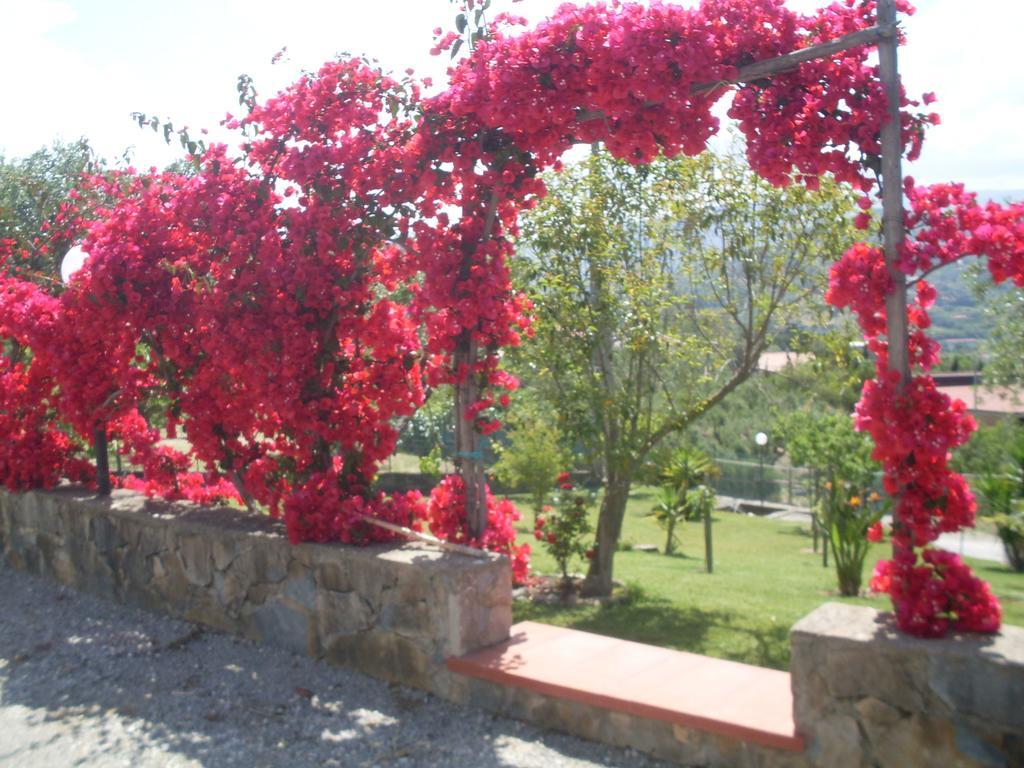 Hotel La Selva Agropoli Exterior foto