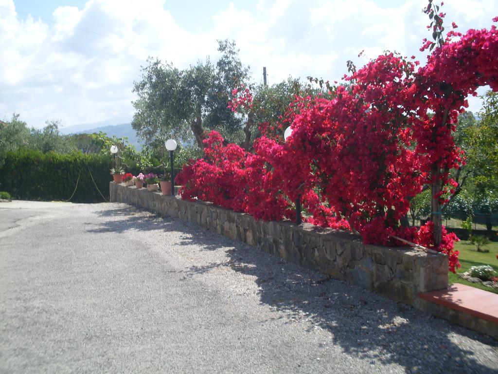 Hotel La Selva Agropoli Exterior foto