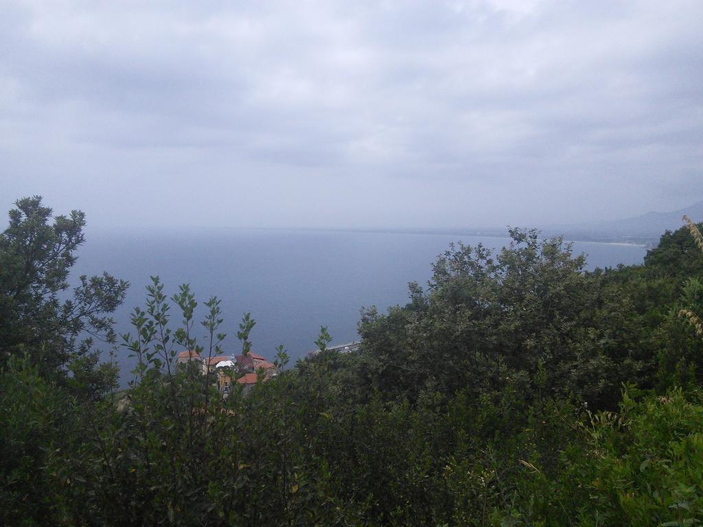 Hotel La Selva Agropoli Exterior foto